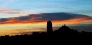 sunrise over farm