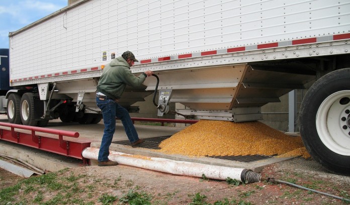 truck unloading corn truck unloading corn