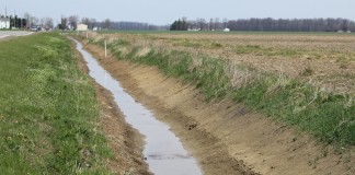 Drainage ditch,