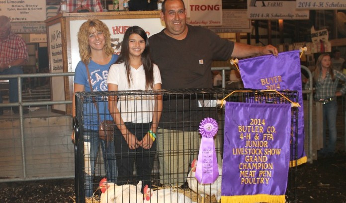 Butler Farm Show grand champion chickens 2014 Butler Farm Show grand champion chickens 2014