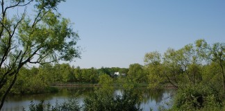 CRP restored wetland in Ohio