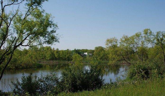 CRP restored wetland in Ohio CRP restored wetland in Ohio