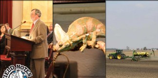 Field Notes collage for May 5, 2016