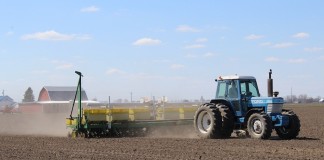 Corn planting