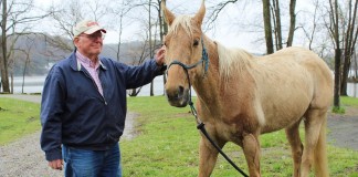 Petting a horse