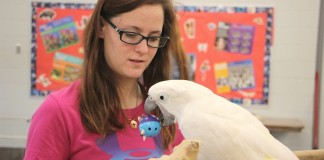 SSCA ffa ghost ledger