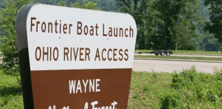 Wayne Forest1-web