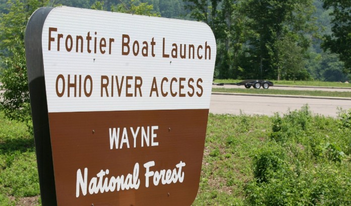 Wayne Forest1-web Wayne Forest1-web