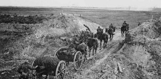 World War I horse-drawn artillery