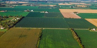 aerial farmland