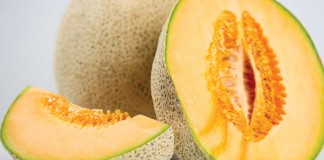 cantaloupe