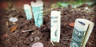 dollar bills and coins in soil