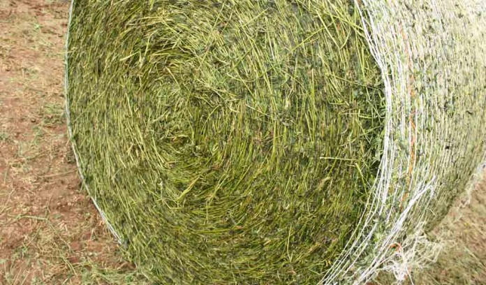 wrapped hay bale wrapped hay bale