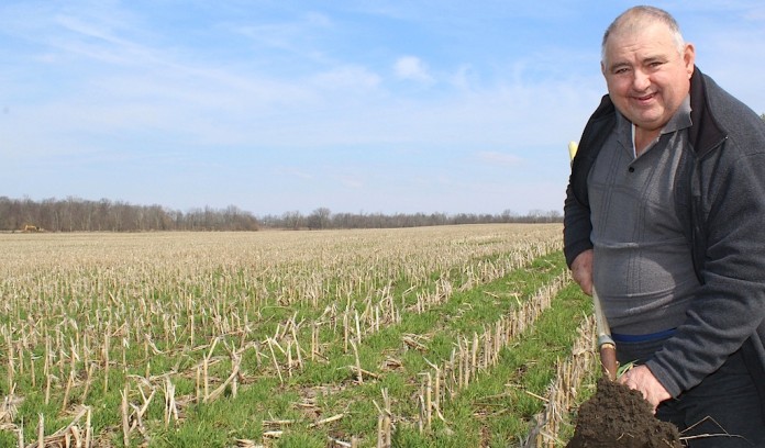 Brandt shovel profile Cover crops and earth.