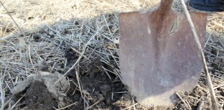 shovel to ground