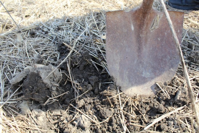 shovel to ground shovel to ground