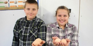 Calame poultry kids