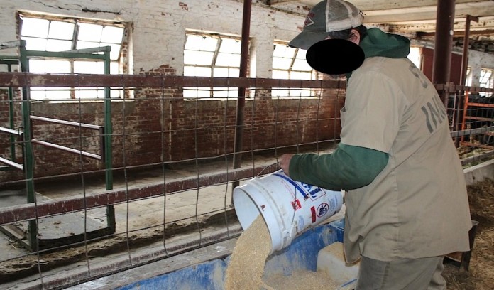 Prison-inmate-pouring1 Inmate pouring feed
