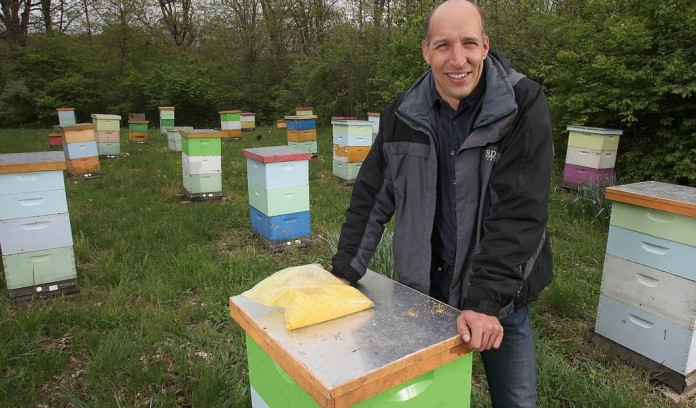 Honeybees and Purdue research Honeybees and Purdue research