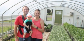 Todor Flower Farm