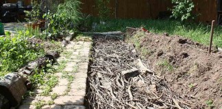 hugelkultur bed