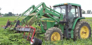 organic weed puller