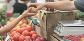 produce at farmers market