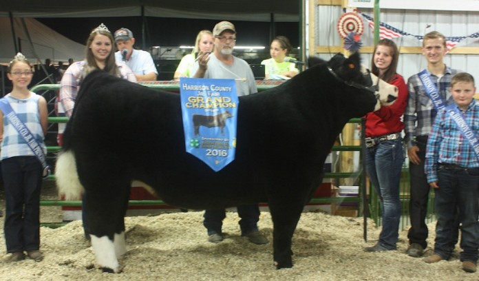 2016 Harrison Grand Steer 2016 Harrison Grand Steer
