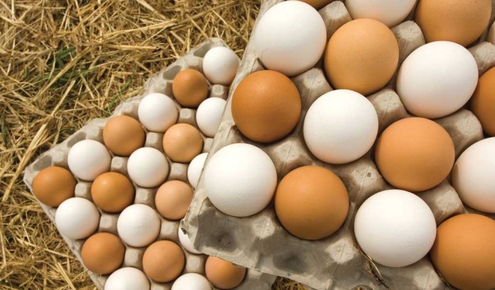 brown and white eggs brown and white eggs