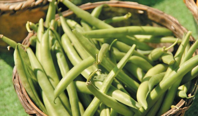 green beans in basket