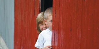 kids in barn