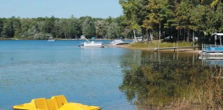 paddle boat at lake