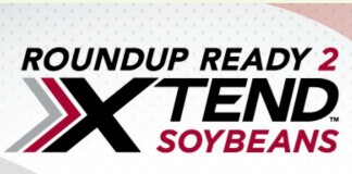 rr extend soybeans
