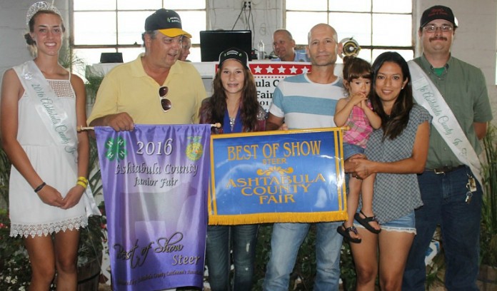 Ashtabula Best of Show steer
