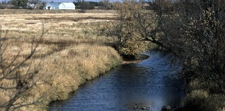 CRP buffer