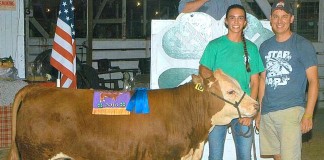 Grand champion steer