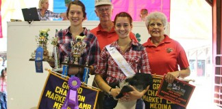Medina fair header