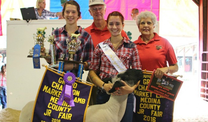Medina fair header Medina fair header