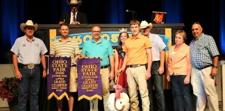 Grand champion turkey