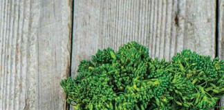 broccoli