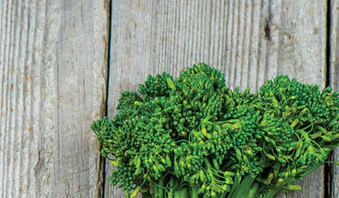 broccoli broccoli
