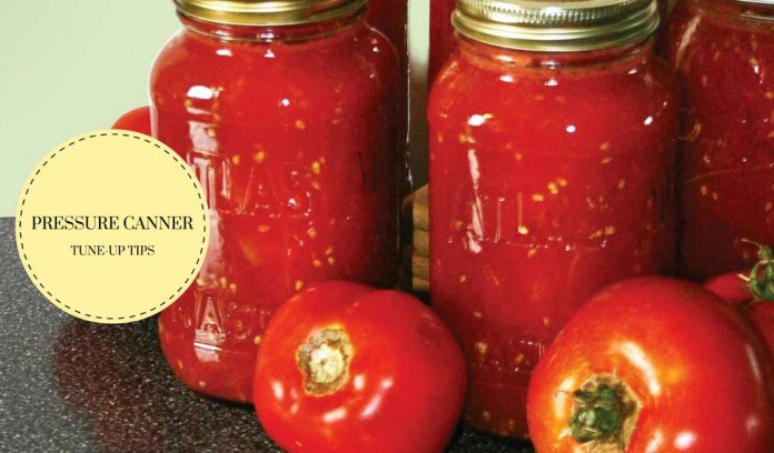 canning tomatoes canning tomatoes