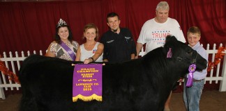 Lawrence County grand champion steer