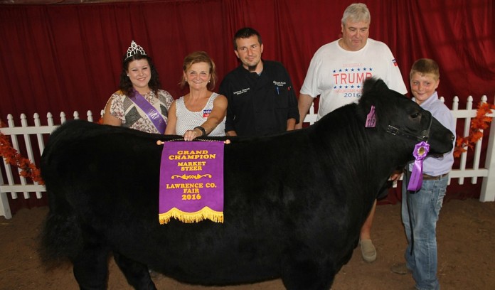 lawrence grand steer Lawrence County grand champion steer