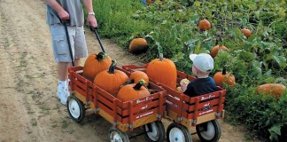 red wagon