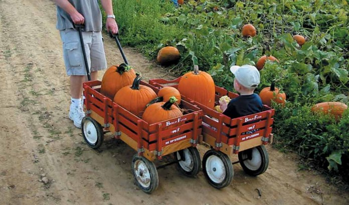 red wagon red wagon