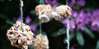 Pine cone bird feeder