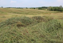 Drought relief funding passed Ohio General Assembly FSR drought forage