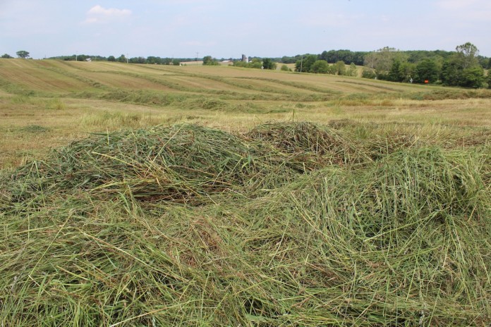 FSR drought forage FSR drought forage