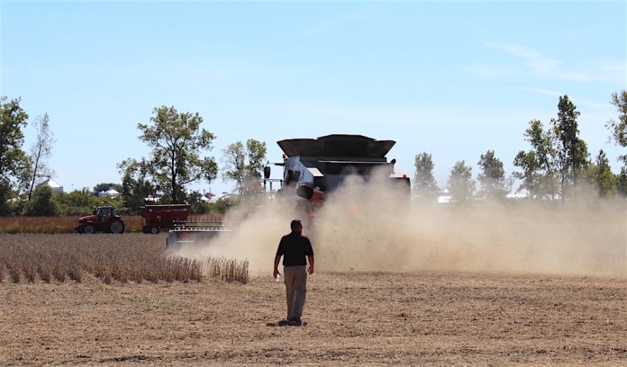 FSR dusty Soybean dust